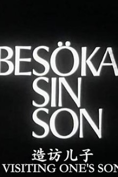 造访儿子