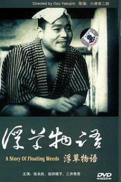浮草物语