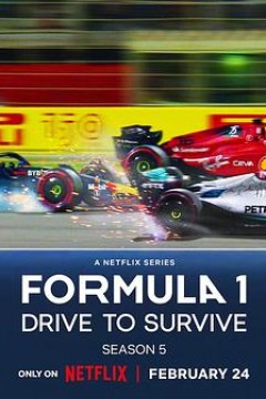 一级方程式：疾速争胜第五季