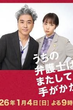 我家的律师又惹麻烦了特别篇