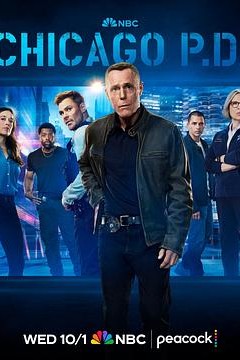 芝加哥警署第13季