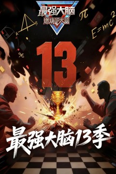 最强大脑第十三季