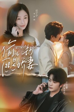 偷心劫匪是娇妻(偷“心”劫匪是娇妻)