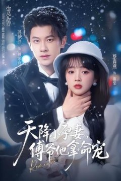 天降小孕妻，傅爷他拿命宠