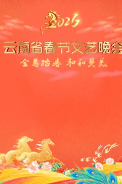 ​2026云南省春节文艺晚会​
