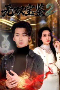 无双宝鉴2