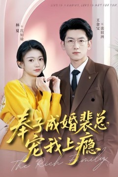 奉子成婚裴总宠我上