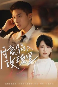 月亮陷入玫瑰里