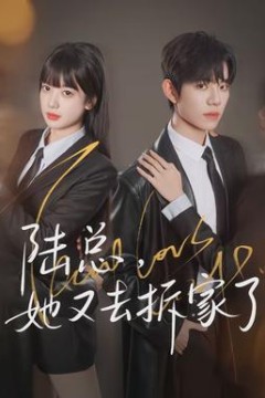 陆总，她又去拆家了