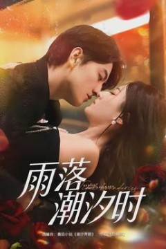 雨落潮汐时
