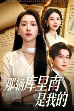 那辆库里南是我的