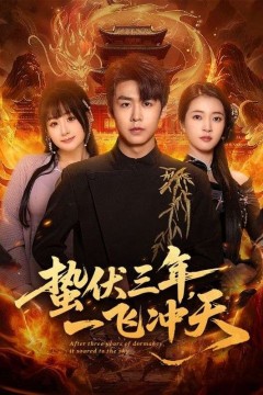 蛰伏三年，一飞冲天