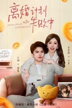 离婚计划失败中