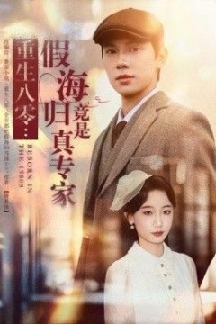 重生八零：假海归竟是真专家