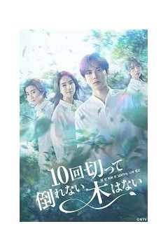 没有砍十次还不倒的树