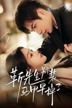 靳先生别装马甲早掉了