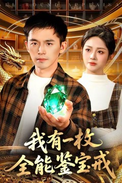 我有一枚全能鉴宝戒