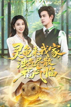 灵龟来我家，浊气尽散福气临