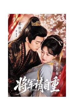 将军请自重
