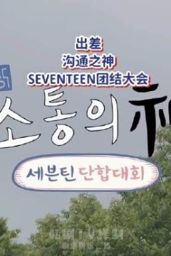 沟通之神SEVENTEEN篇