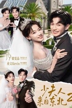 少夫人来自东北2