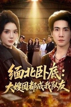 缅北卧底：大嫂团都成我队友