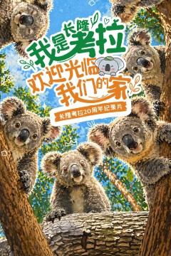 我是考拉，欢迎光临我们的家​