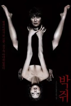 蝙蝠2009