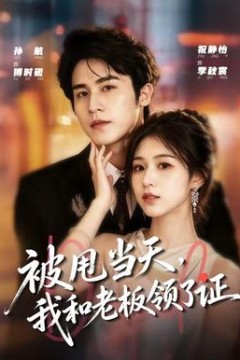 被甩当天，我和老板领了证