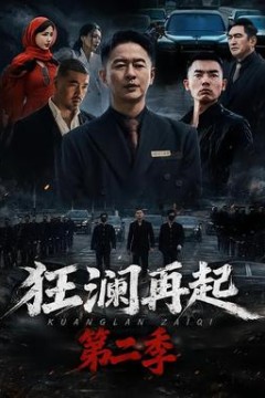 狂澜再起第2季