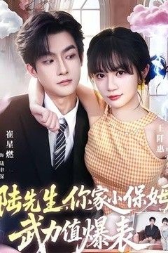 陆先生，你家小保姆武力值爆表