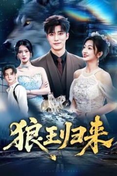狼王归来