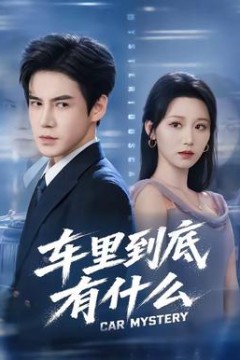 车里到底有什么