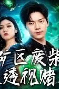 矿区废柴，觉醒透视赌石术