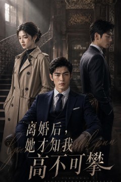 离婚后，她才知我高不可攀