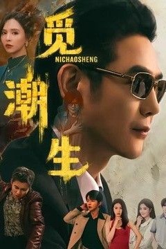 觅潮生
