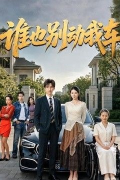 谁也别动我车