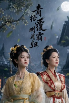 青梧覆霜明月归