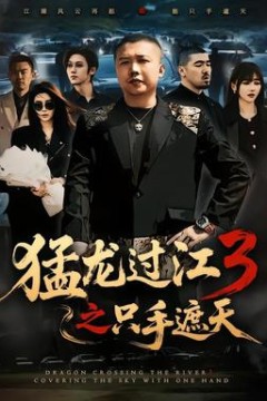 猛龙过江3之只手遮天
