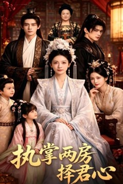 执掌两房择君心