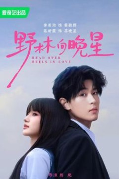 野林向晚星