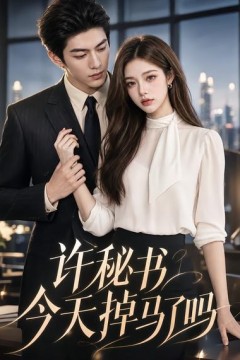 许秘书今天