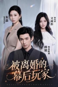 被离婚的幕后玩家