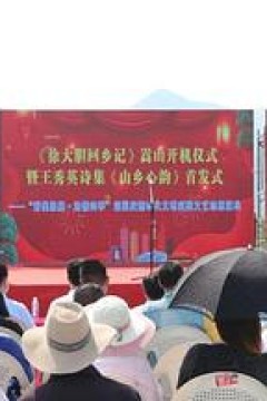 徐大胆回乡记