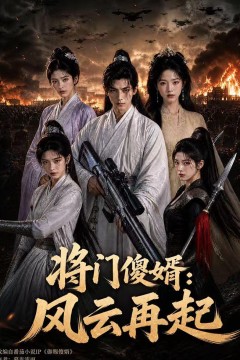 将门傻婿：风云再起