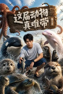 这届动物真难带第三季
