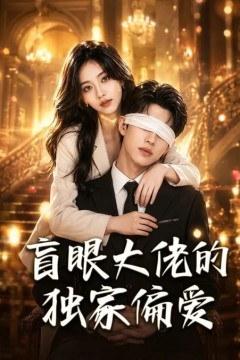 盲眼大佬的独家偏爱